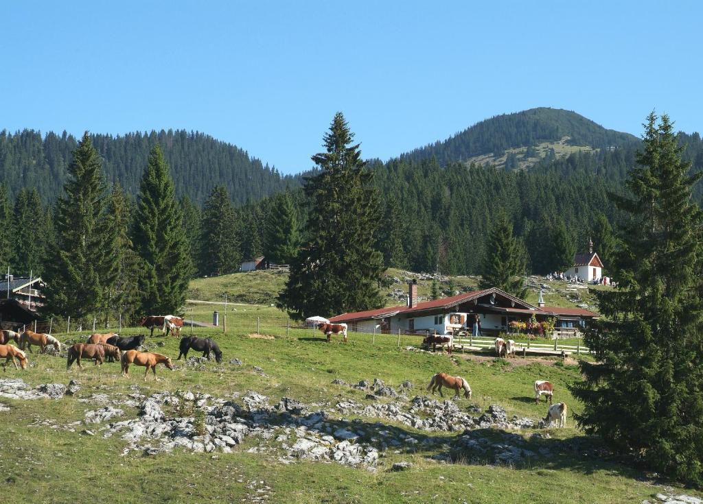 Gaestehaeuser Schwemmbauer Reit im Winkl Exterior photo